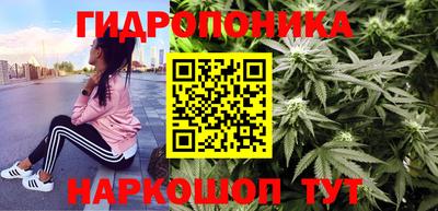 винт Новокубанск