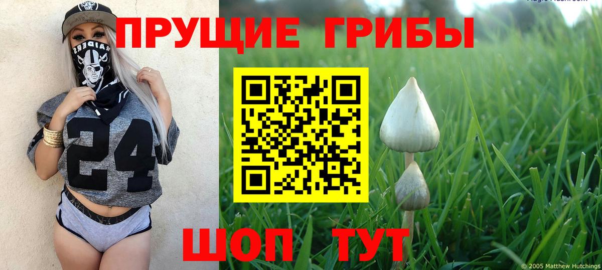 Ульяновск  Галлюциногенные грибы Magic Shrooms  Вход с VPN  Галлюциногенные грибы мухоморы 